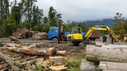 Bluey, The Customised 1978 Mercedes, Benny The Little Digger/log Loader With Thumb, And Lulu The Skidder Waiting For Smoko To End.